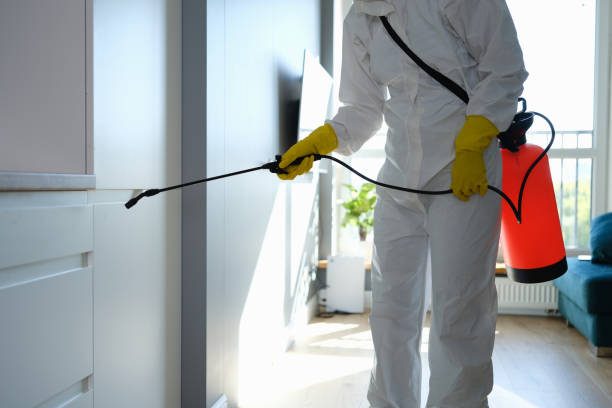 Best Certified Mold Removal  in Runge, TX