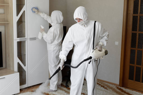 Best Local Mold Removal Service  in Runge, TX